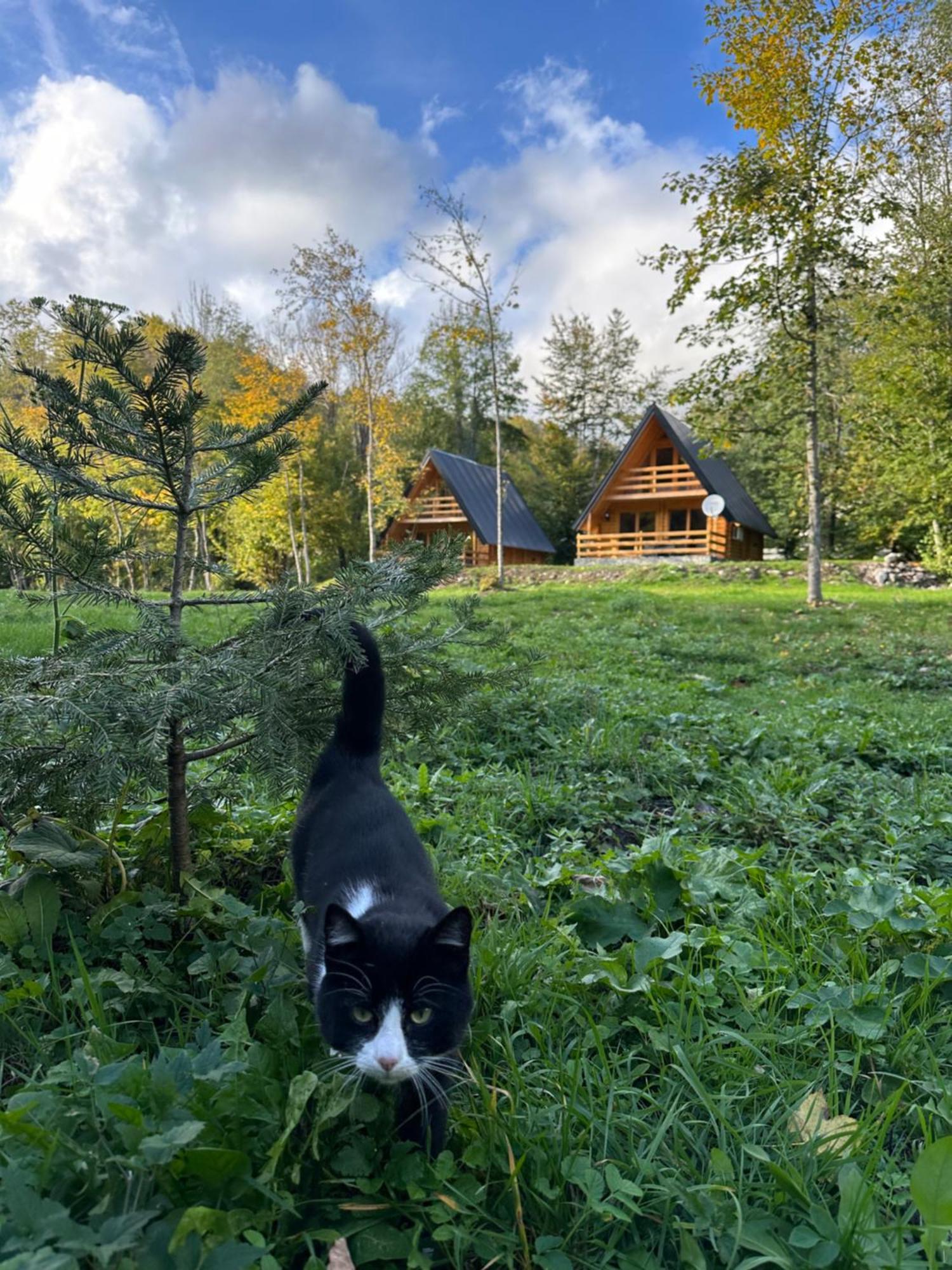 Ethno Village Long Story Kolašin Eksteriør bilde